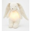 Moonie the humming bunny -polar natur