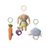 Set van 3 activiteitenspeeltjes - Activity toys kit 